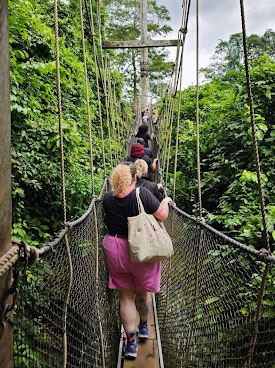 People walk across a canopy suspension bridge in a forest setting across
